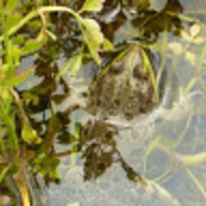 Meet your Posher, Valerie